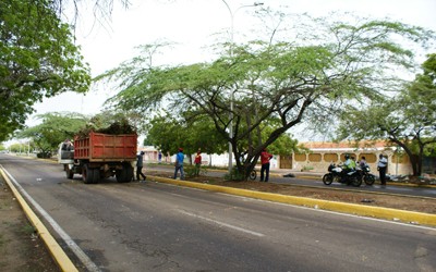 1359 2A guarimbas